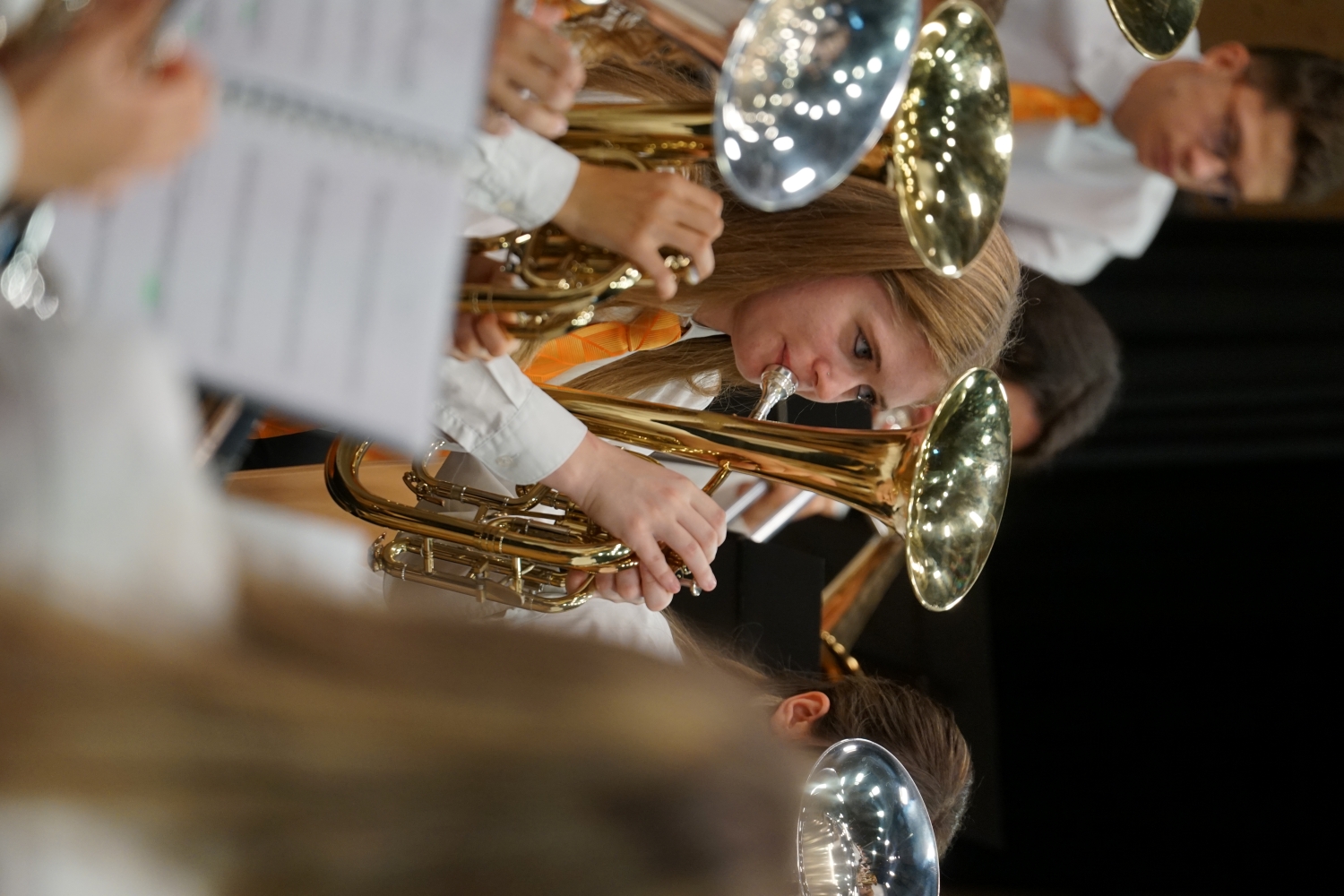 B-Band-Es-Horn